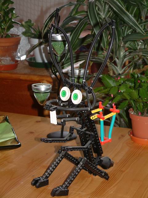 photo03.jpg